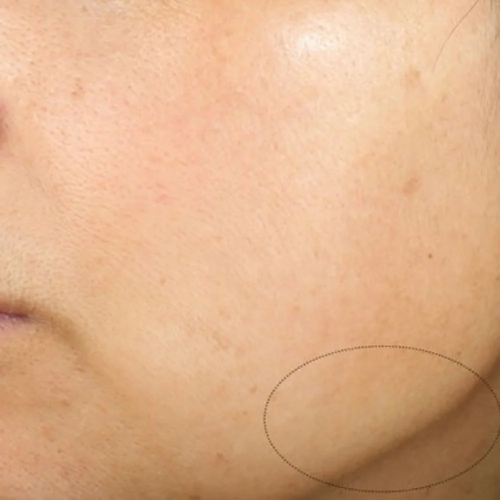 Contouring !Shiseido Vital Perfection Uplifting and Firming Advanced Cream 15ml